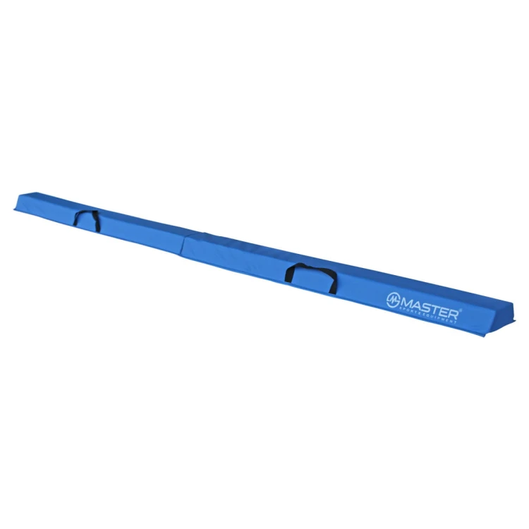 MAS-C081-blue22.jpg