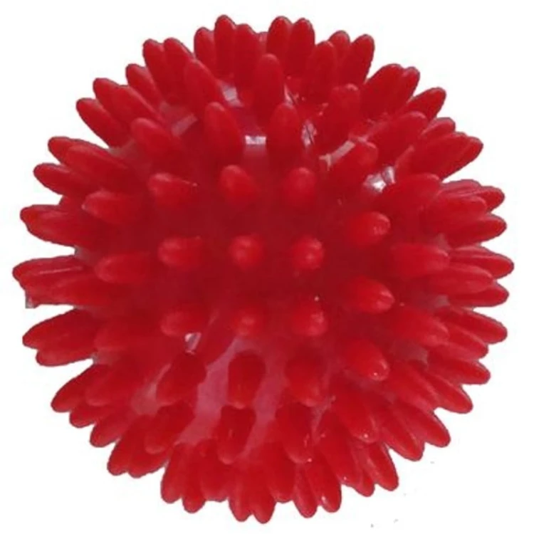 S62.jpg