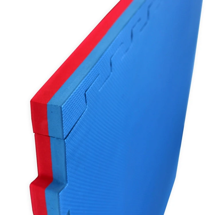 MAS4A483c_new.jpg