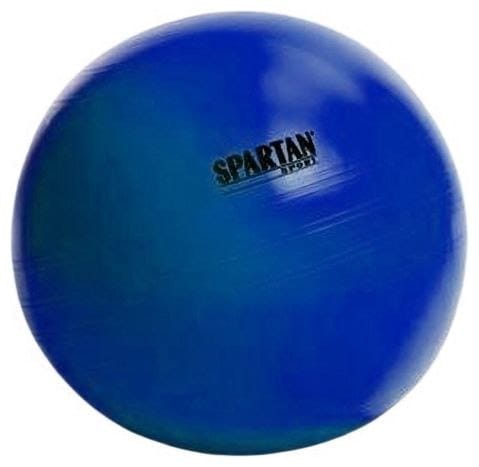 Pilka-gimnastyczna-SPARTAN-55-cm-NIEBIESKA_[15794]_480.jpg